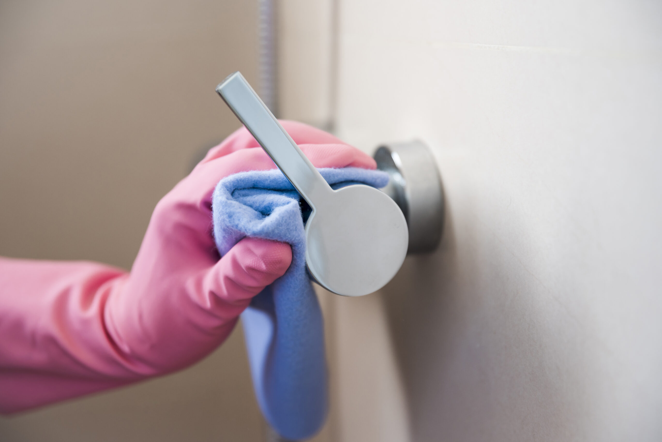 sgrosso sgrosso_e_disinfezione